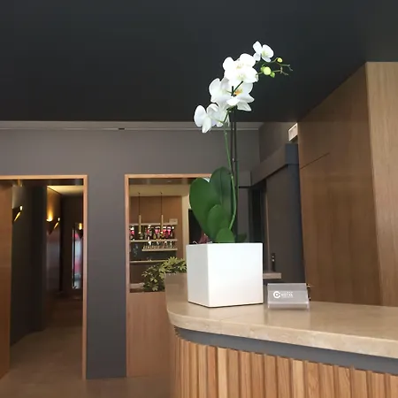 Cityhotel Cristina 3* 비첸차