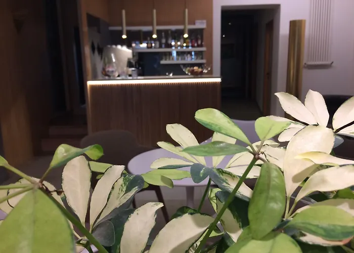 Cityhotel Cristina Vicenza